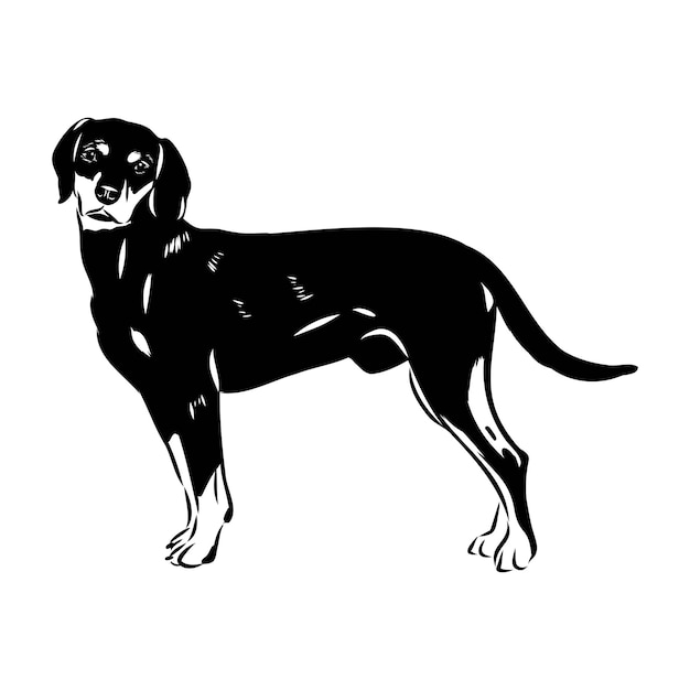 Austrian black and tan hound austrian brandlbracke vector