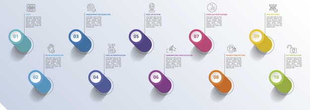 authentication infographics colored steps info template with