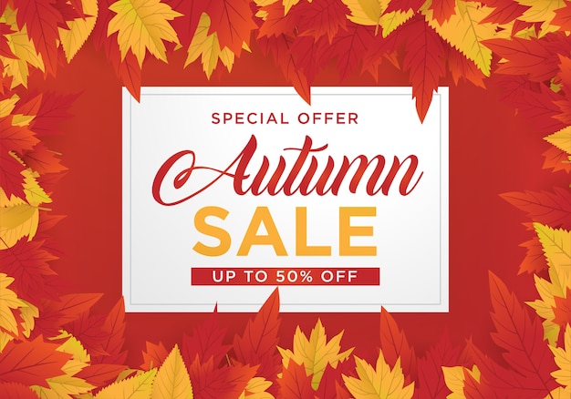 Autmn sale background template with maple leaves
