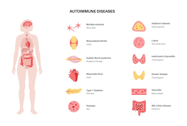 Vector autoimmune disorders diseases