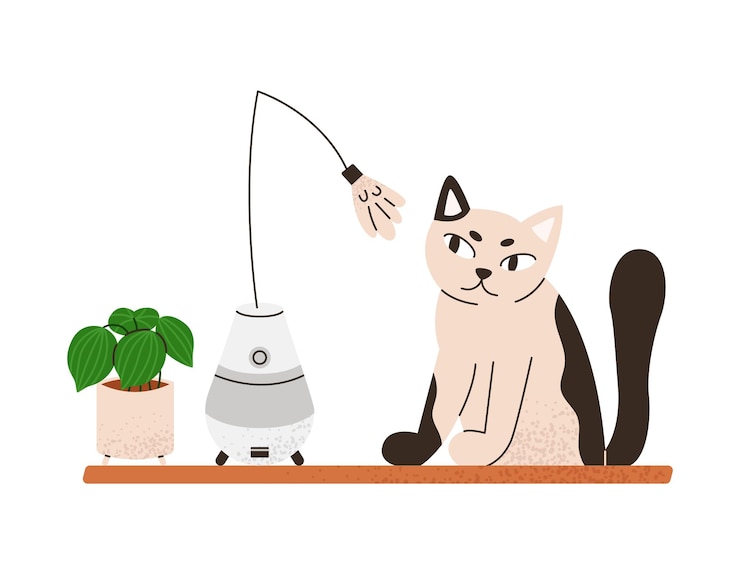 Vector automatic cat toy