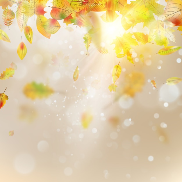 Autumn abstract background. smooth light warm sun template.