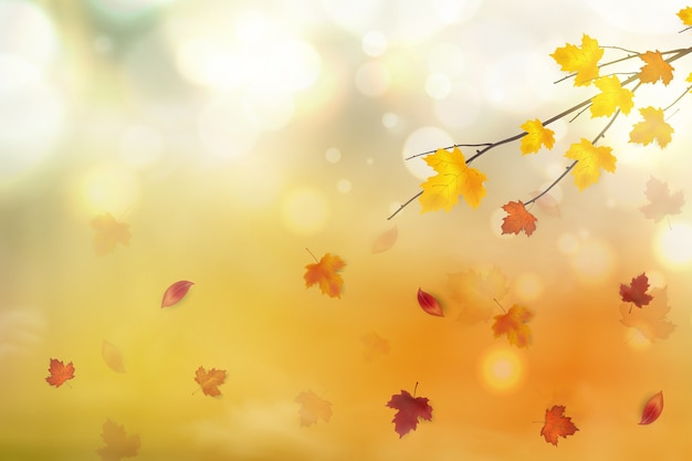 Autumn abstract background.