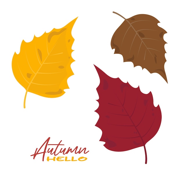 Autumn aspen tree leaves vector illustration Autumn leaves design template for decoration sale ba
