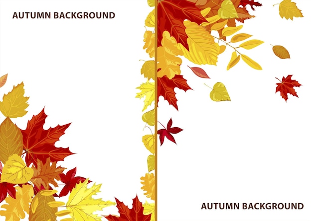 Autumn background fall season frame with leaf