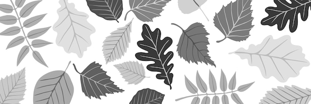 Autumn background of leaves vector design