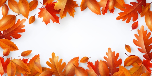 Autumn Background,Poster and banner template with colorful maple and oak autumn leaves.