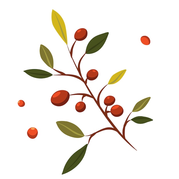 Вектор Осенний фон векторная иллюстрация ветвей с листьями ягод для украшения