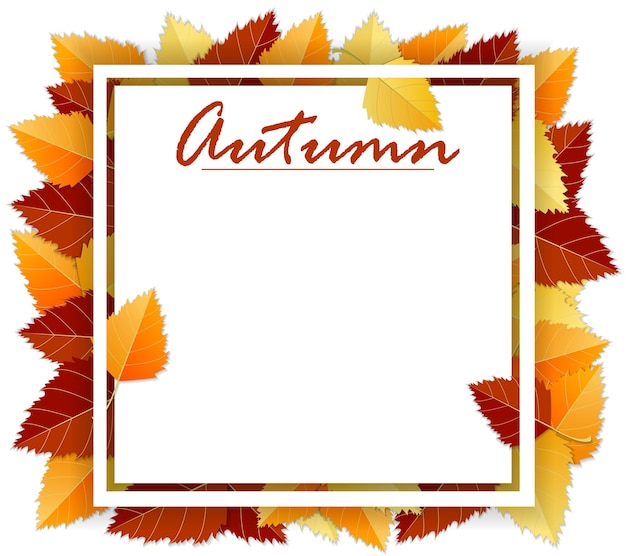 Autumn background with autumn bright leaves and square frame paper white sheet on white background vector illustration template layout mockup for posters brochures invitations certificates