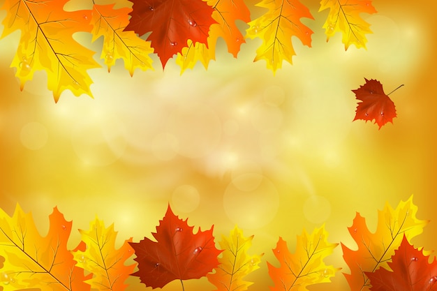 Autumn background with colorful leaves. illustration. There is a place for your text.