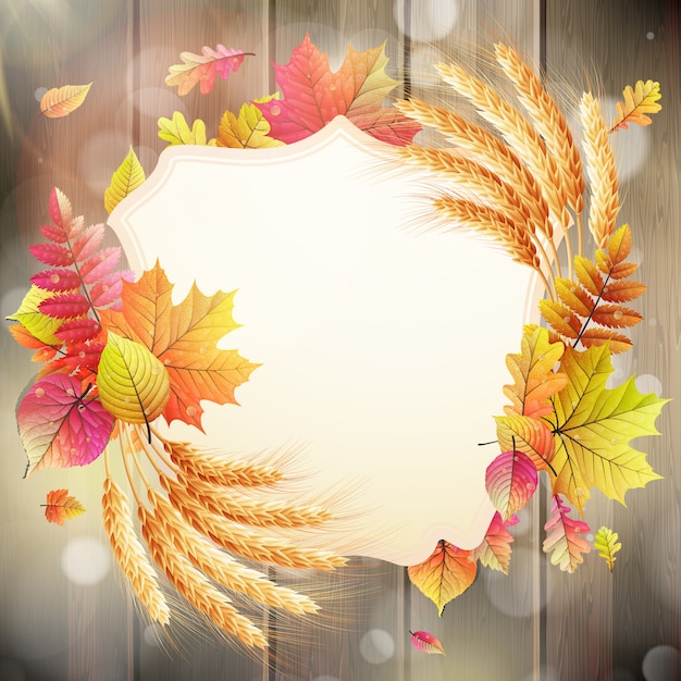 Vector autumn background with colorful leaves and place for text.