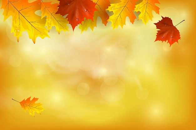 Осенний фон с разноцветными листьями. Есть место для вашего текста.