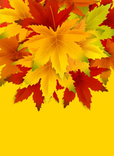 Autumn background with copy space, with falling bunch of leaves