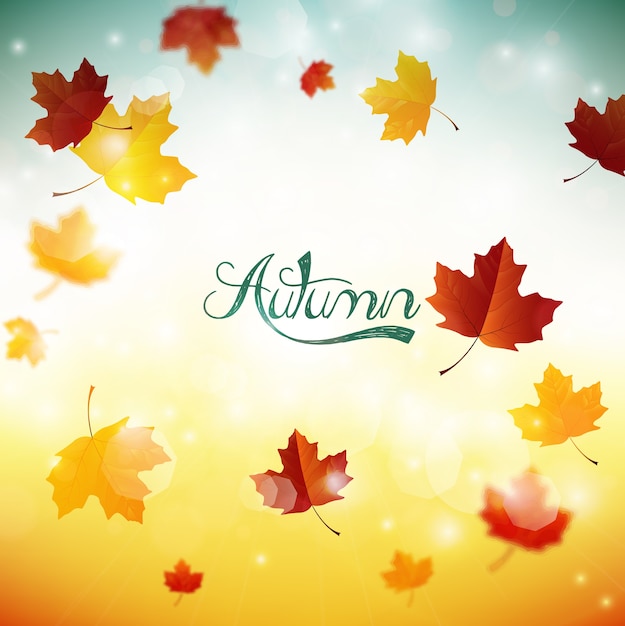 Autumn background with flying maple leaves