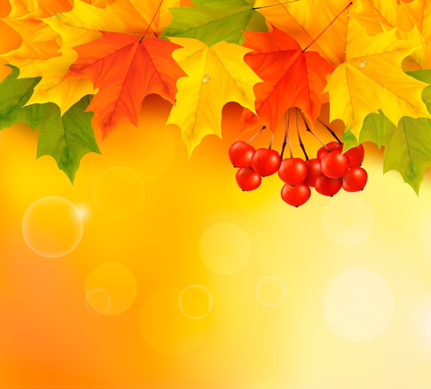 Осенний фон с листьями и рябиной