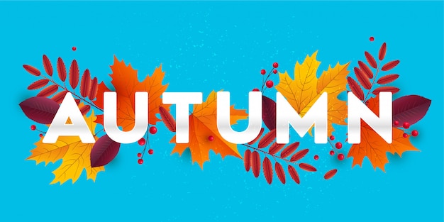 Vector autumn background with leaves