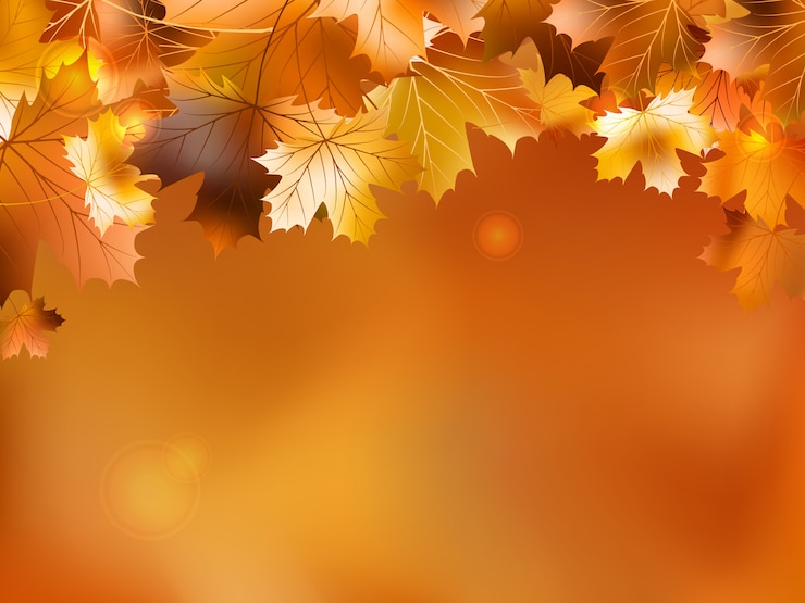 Vector autumn background with leaves.