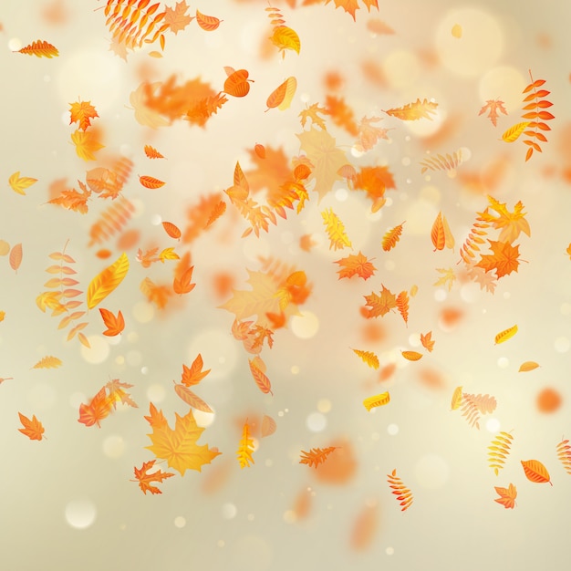 Vector autumn background with natural leaves and bright sunlight.