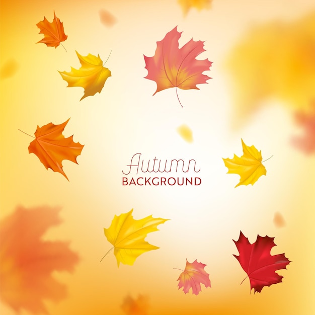 Autumn Background with Red and Yellow Maple Leaves. Nature Fall Seasonal Design Template for Web Banner, Leaflet, Sale, Poster. Vector illustration