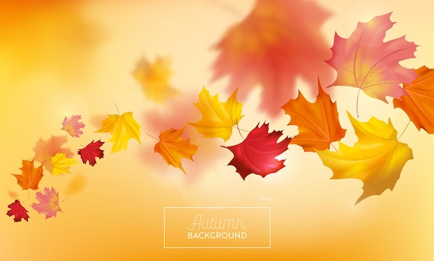 Autumn Background with Red and Yellow Maple Leaves. Nature Fall Seasonal Design Template for Web Banner, Leaflet, Sale, Poster. Vector illustration