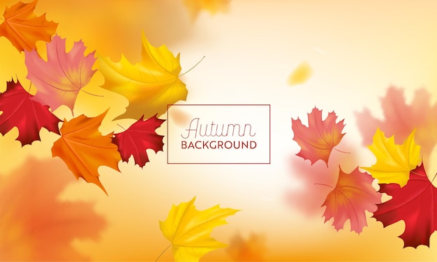 Autumn background with red and yellow maple leaves. nature fall seasonal design template for web banner, leaflet, sale, poster. vector illustration