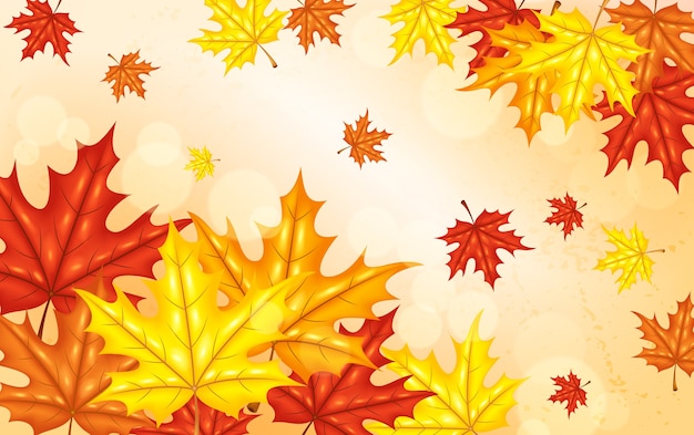 Autumn background with scattered leaves