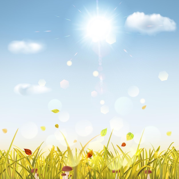 Autumn background with yellow grass, mushrooms, leaves, sky, sun and clouds