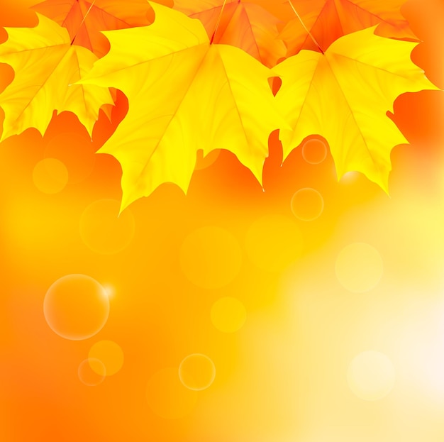 Осенний фон с желтыми листьями Снова в школу Векторная иллюстрация
