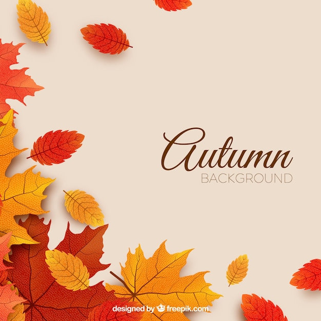 Vector autumn background with