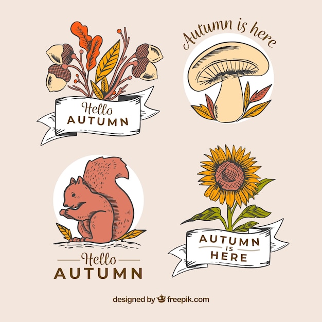 Autumn badges collection in hand drawn style