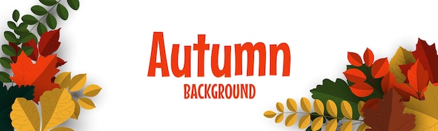 Sfondo di banner autunnale con foglie autunnali