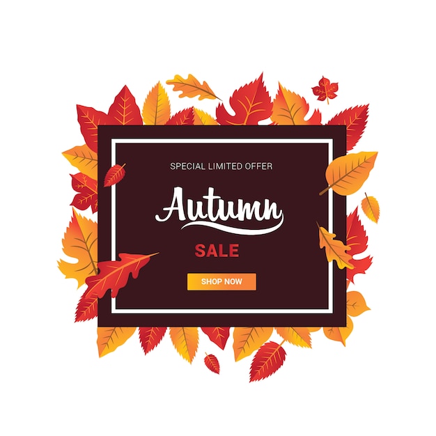 Autumn banner season sale with leaf orange and red square shape