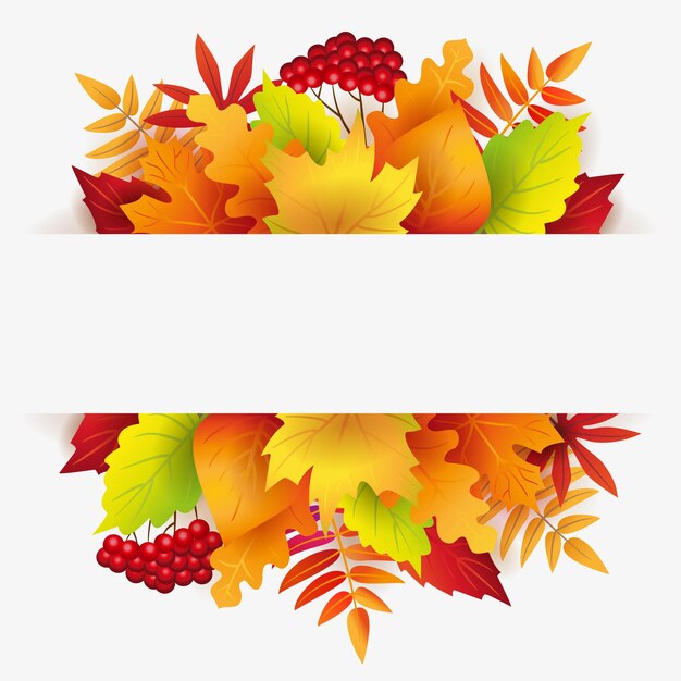 Autumn banner with autumn leaves, berries and white background for text