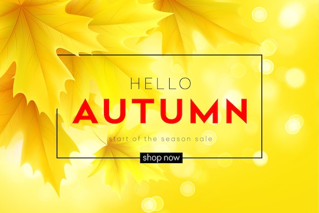 Autumn banner with lettering and yellow autumn maple leaves