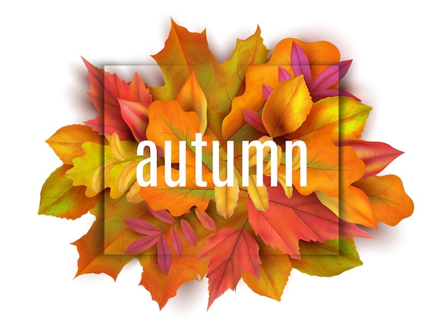 Autumn banner