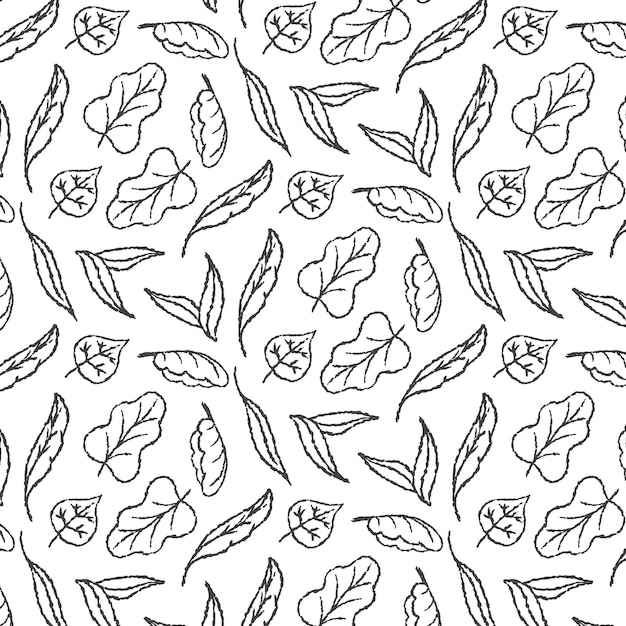 Autumn berries and mushrooms doodle pattern on transparent background seamless vector pattern waiting for packaging and textile design