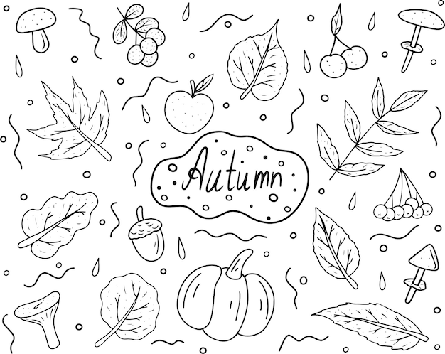 Vettore autunno in bianco e nero set di doodle carini elementi accoglienti dell'autunno per un poster di cartolina