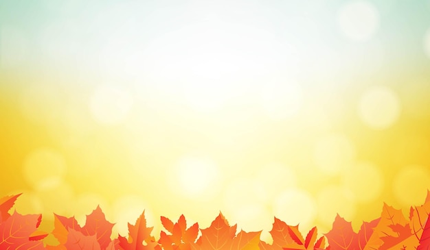 Vector autumn border with orange leaves