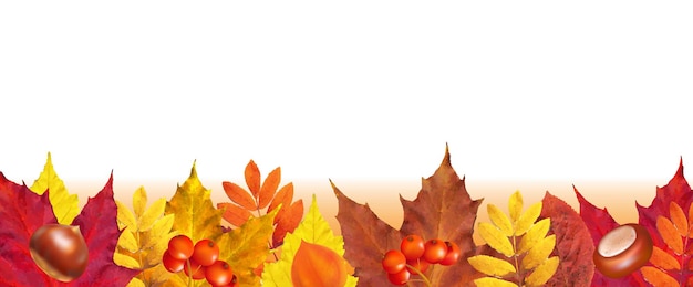 Autumn Border With White Background With Gradient Background, Vector Illustration