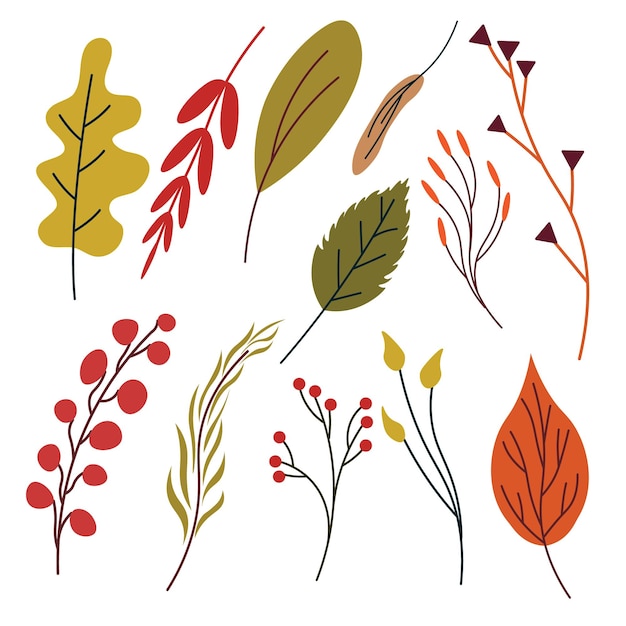 Autumn botanical set. Vector hand-drawn autumn plants, leaves, branches.