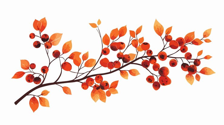 Vector autumn branch berries foliage white background vector illustration
