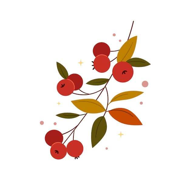 Вектор Осенняя ветка с красными ягодами рябина осеннее настроение