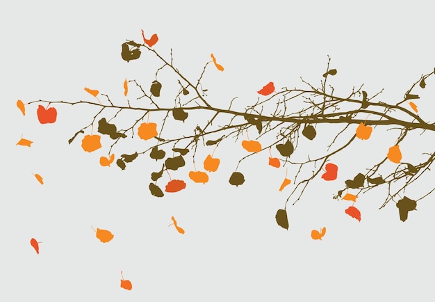 Autumn branch