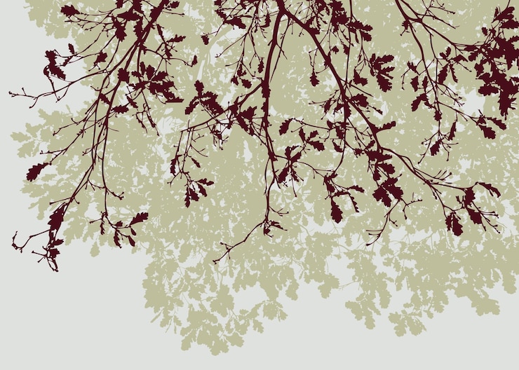 Vector autumn branches of the oaks