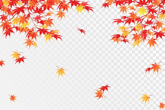 Autumn branches on a transparent background the time of leaf fall the red leaves of the maple vector