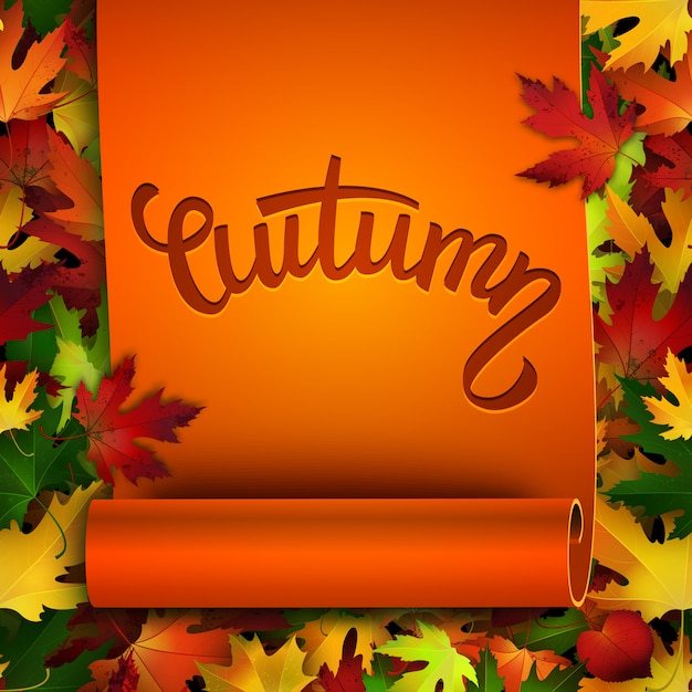 秋のカード、現実的なリボン、カラフルな紅葉背景