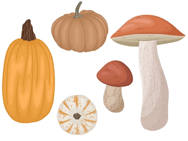 Autumn collection with pumpkins