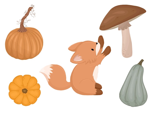 Autumn collection with pumpkins