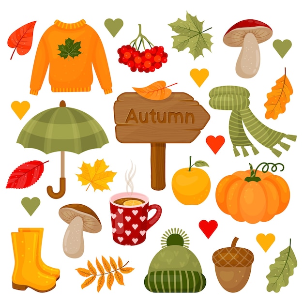Vector autumn color collection clipart set with autumn leaves pumpkin acorn sweater hat scarf cup of hot tea mushrooms and other symbols of fall isolated objects vector illustration cartoon style