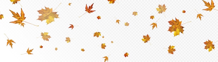 Vector autumn colorful leafy ornament with yelloworange maple leaves on a transparent background vector